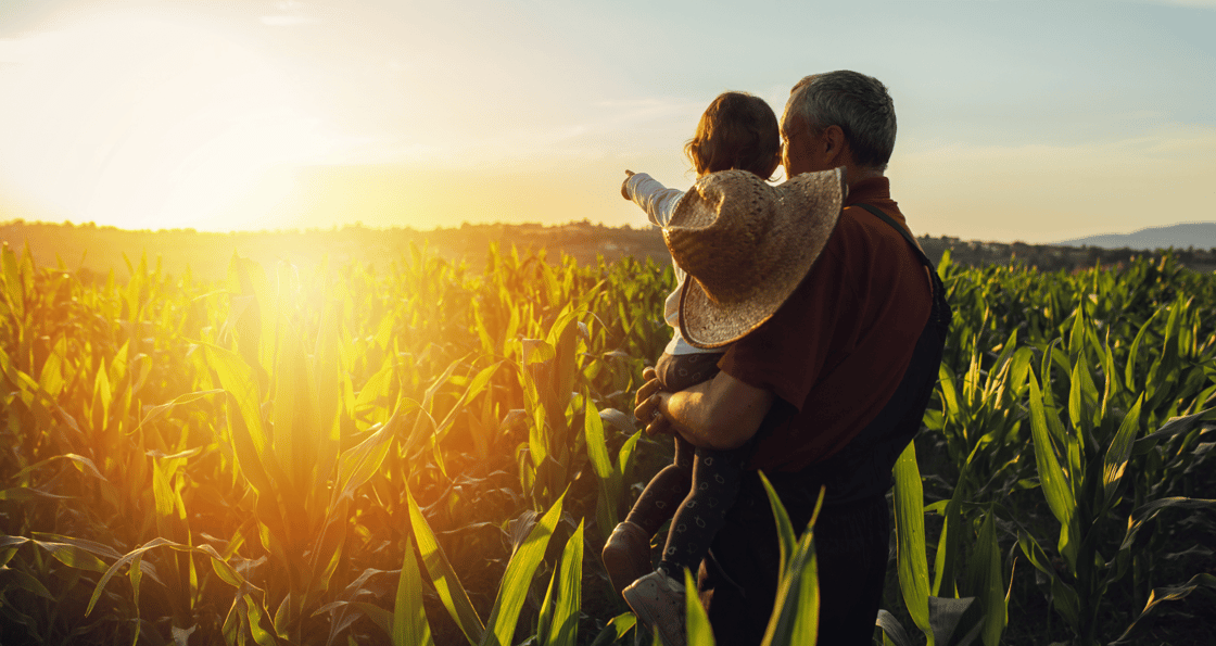 Website Post Image_Happy family in corn field